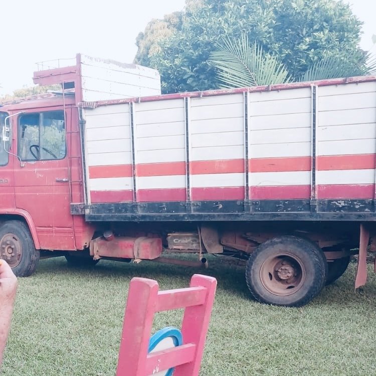 MERCEDES-BENZ 608 D — CLÁSICO 1981 🔴 Marca: Mercedes-Benz 🚛 Modelo: 608 D 📅 Año: 1981 🎨 Color: Rojo